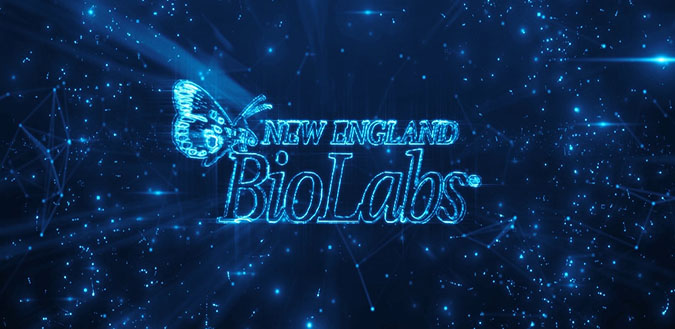 ҵƬͼ